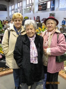 2009.12.05. Kecel 036