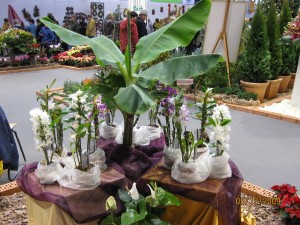 2009.12.05. Kecel 055